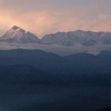 Golden Himalaya Homestay Каусані Екстер'єр фото