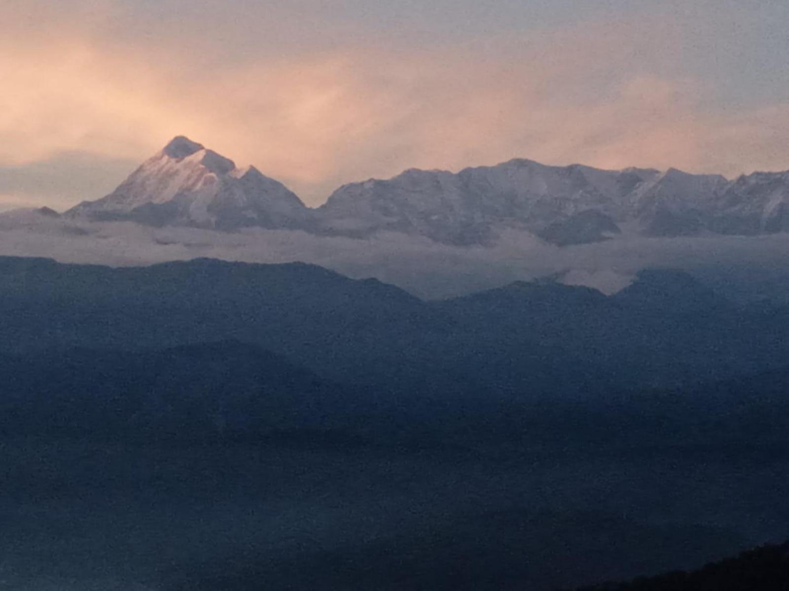 Golden Himalaya Homestay Каусані Екстер'єр фото